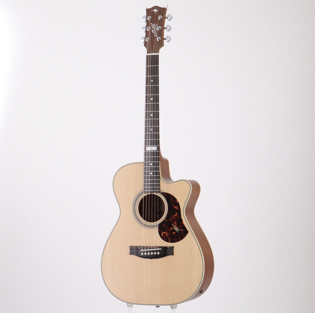 [SN 19929] USED MATON / EBG808CTE Tommy Emmanuel Signature Model [10]