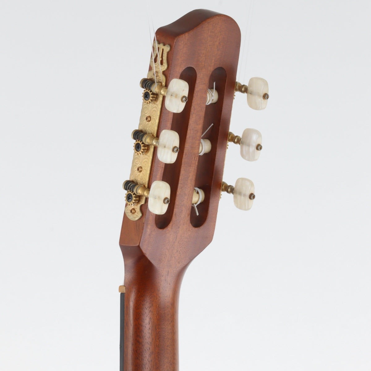 [SN 95-283058] USED Godin Godin / R.G MIDI CLASSIC Natural [20]