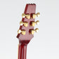 [SN 211015] USED Aria Custom Shop AP / PE-02 Semi Hollow Quilt Maple Top Red [20]
