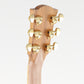 [SN 220442021] USED Cole Clark Cole Clark / CCFL2EC-RDBLSB [20]
