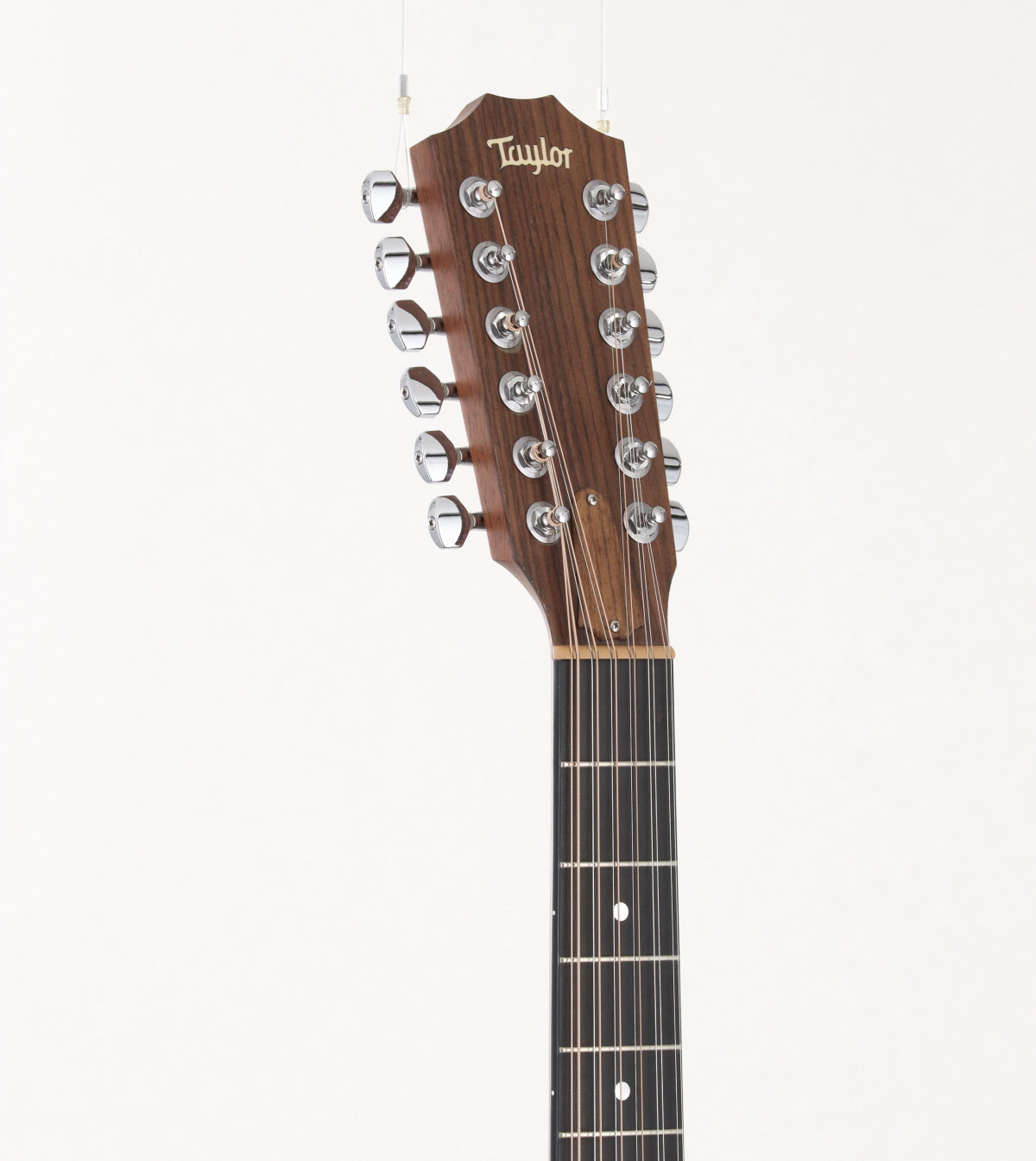 [SN 1103281018] USED TAYLOR / 355ce / ES1 [03]