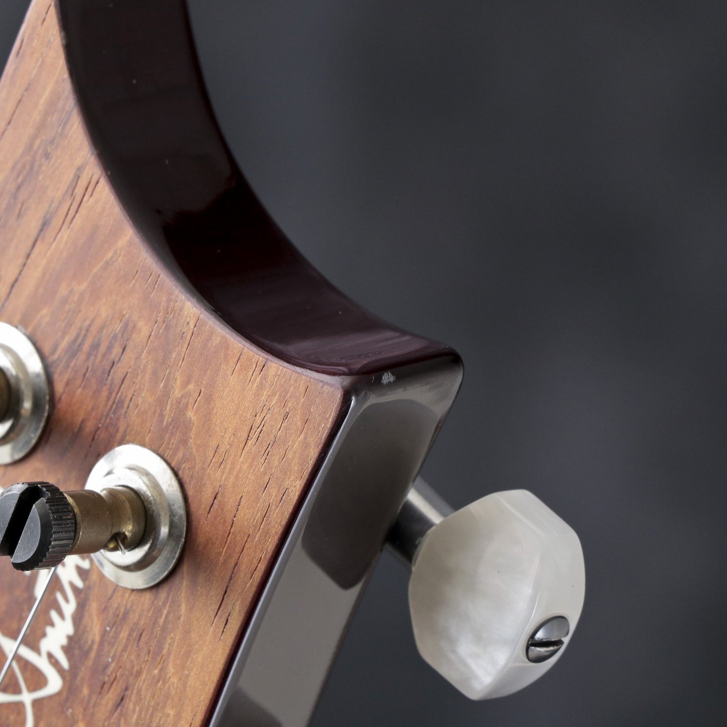 [SN 215547] USED Paul Reed Smith (PRS) / 2015 Paul's Guitar Trem Tortoise Shell Pattern Neck [03]
