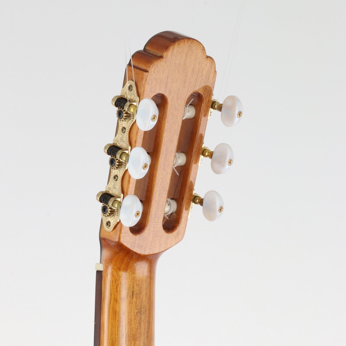 [SN 121108012] USED ARIA / A-50F [12]