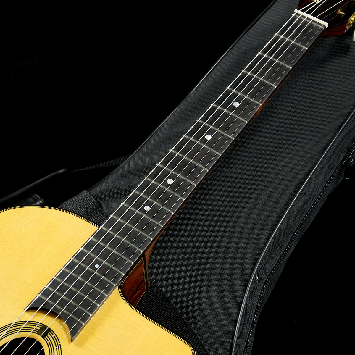 USED Stringphonic / Advanced Oval [05]