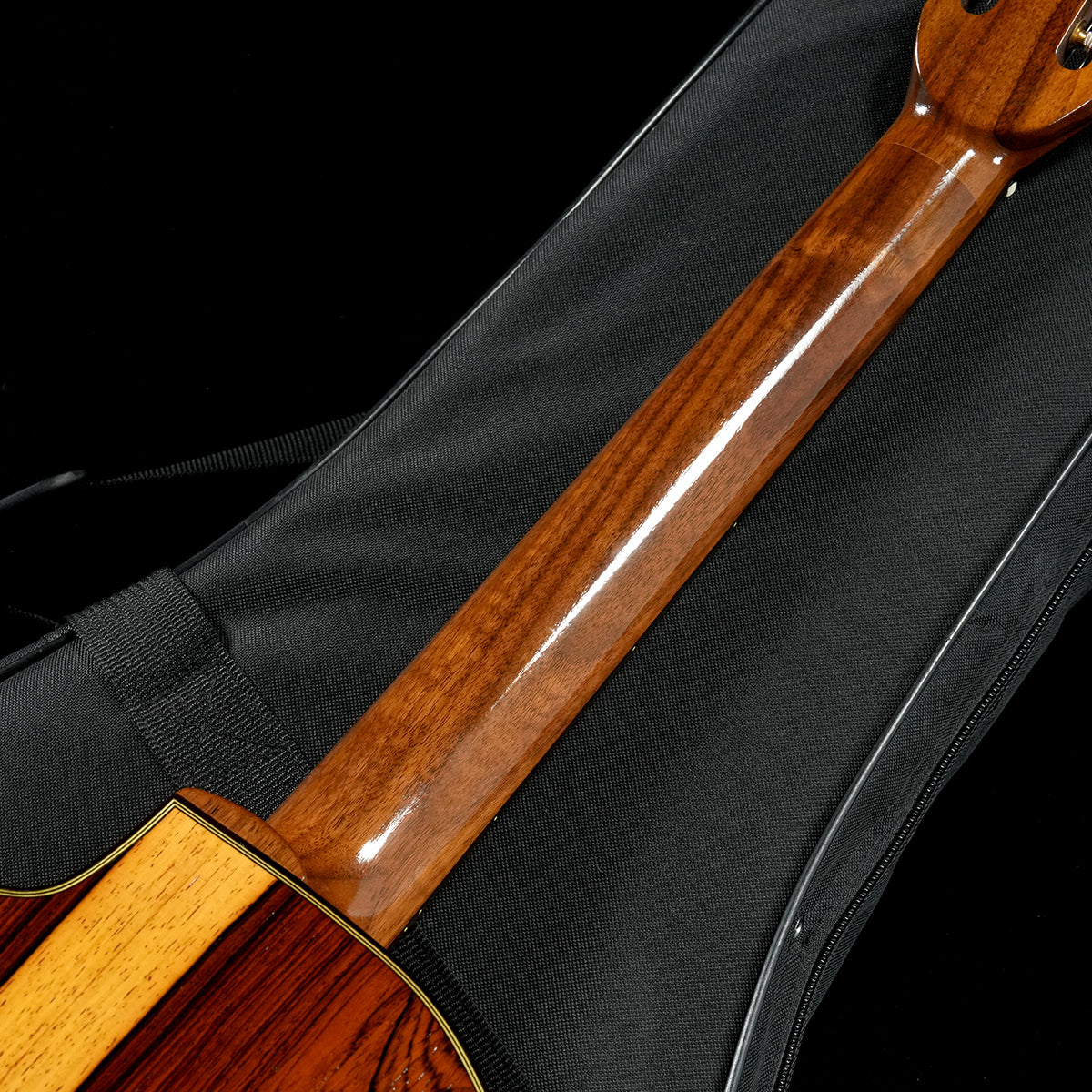 USED Stringphonic / Advanced Oval [05]