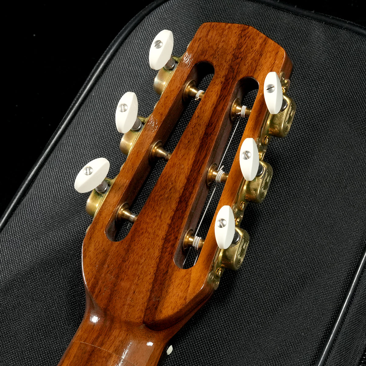 USED Stringphonic / Advanced Oval [05]