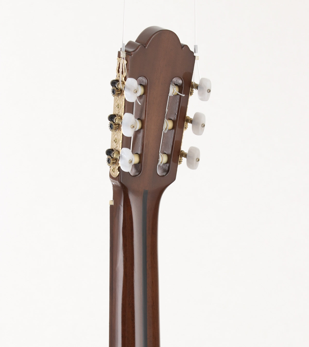 USED Chai Yukinobu / No.20 Contrabass Guitar [05]