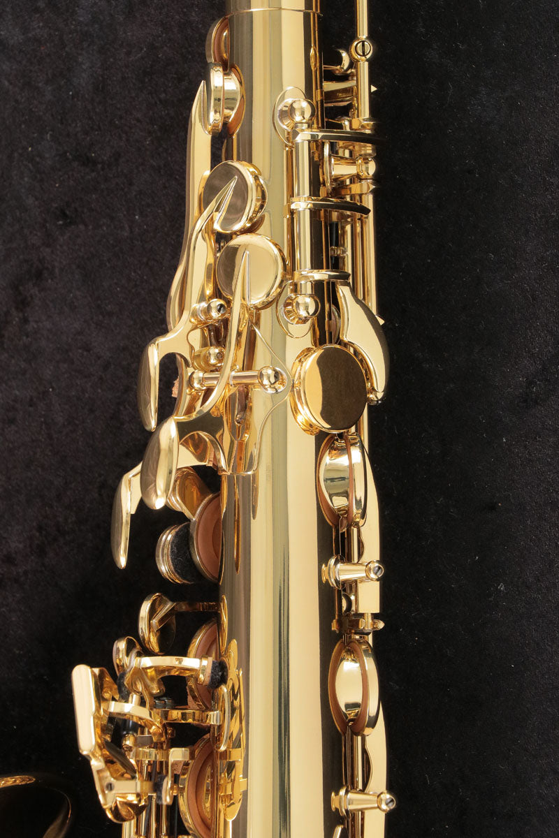 [SN 800765] USED SELMER / Alto Saxophone SERIE III JUBILEE GP neck [03]