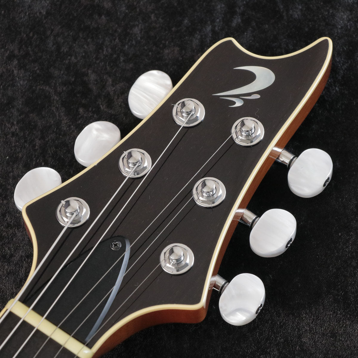 USED TS GUITARS / Arc STD-24 [03 – Ishibashi Music Corporation.