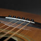 USED Greco / JST-100 [10]