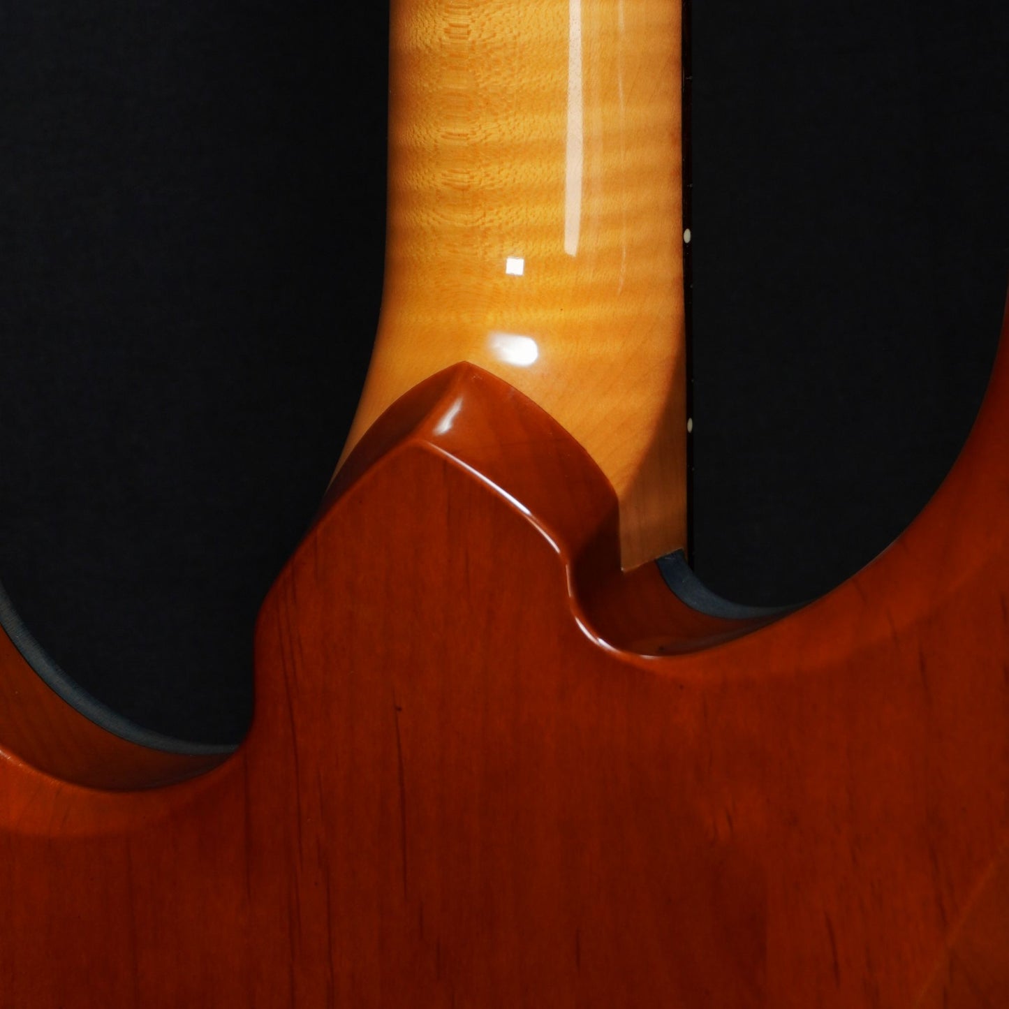 [SN 234] USED Knaggs Guitars / Severn T-2 Trembuck HH Winter Solstice-2015- [04]