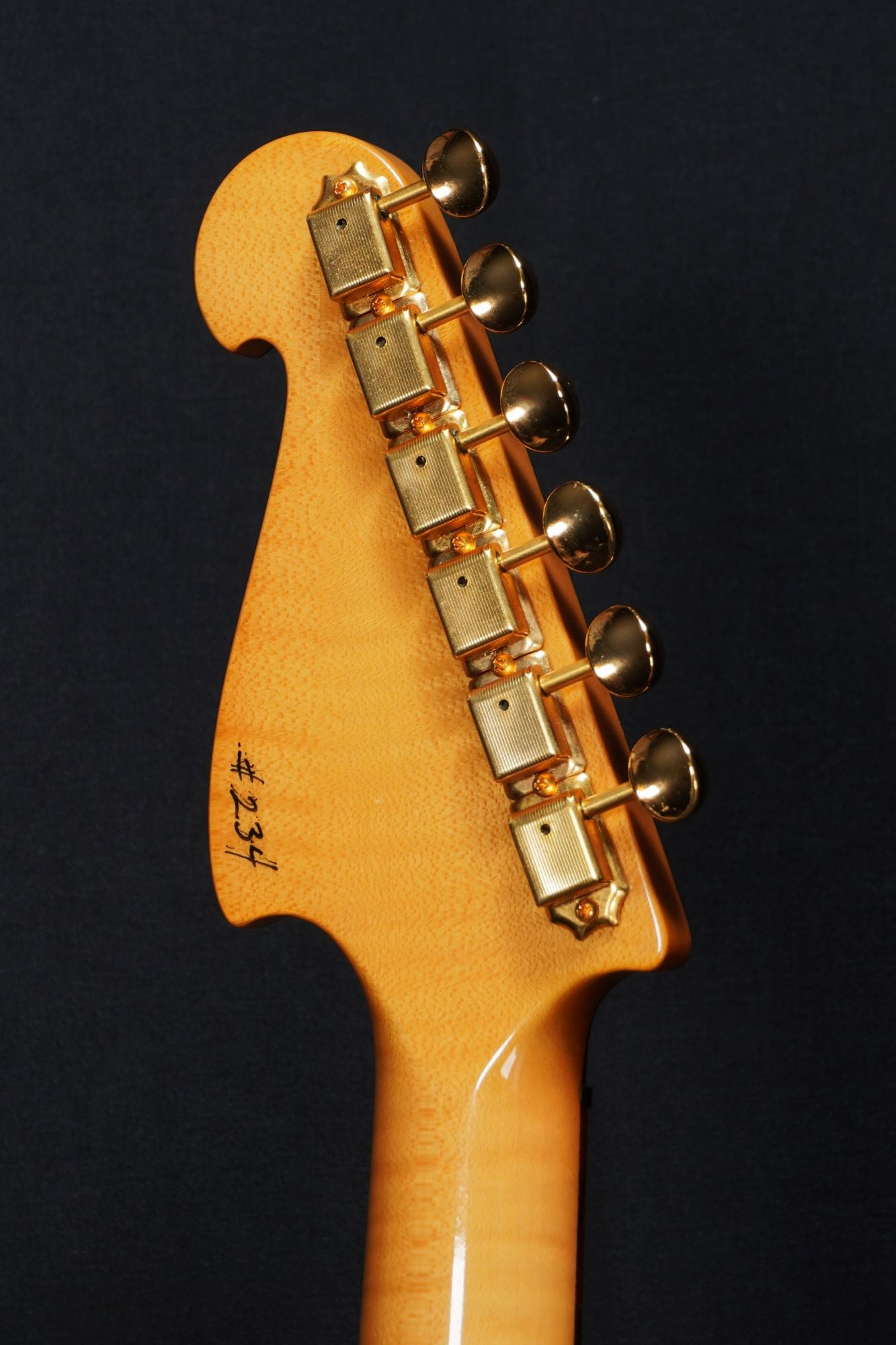 [SN 234] USED Knaggs Guitars / Severn T-2 Trembuck HH Winter Solstice-2015- [04]