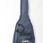 [SN R96G 0335] USED EPIPHONE / Riviera Reissue [10]