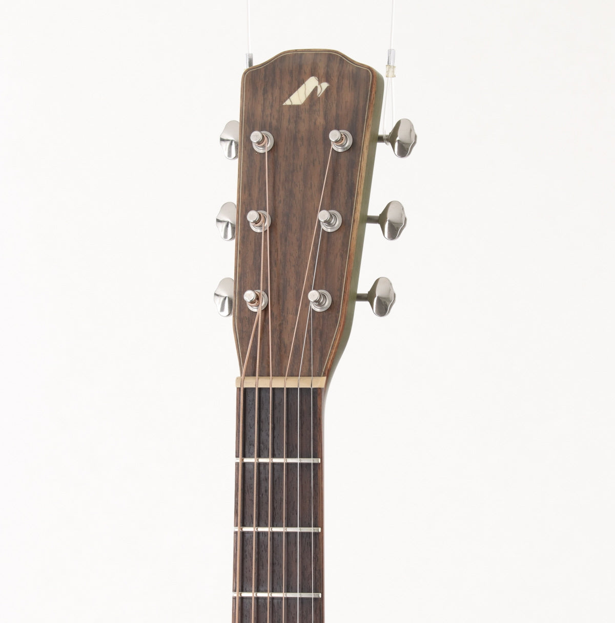 [SN 1103042] USED Morris / FLB-80 MOSS [10]