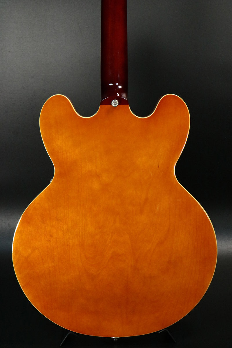 [SN 20071522376] USED Epiphone / Riviera Royal Tan [10]