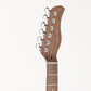[SN 2N22760176] USED SIRE / Larry Carlton T7 FM NT [05]
