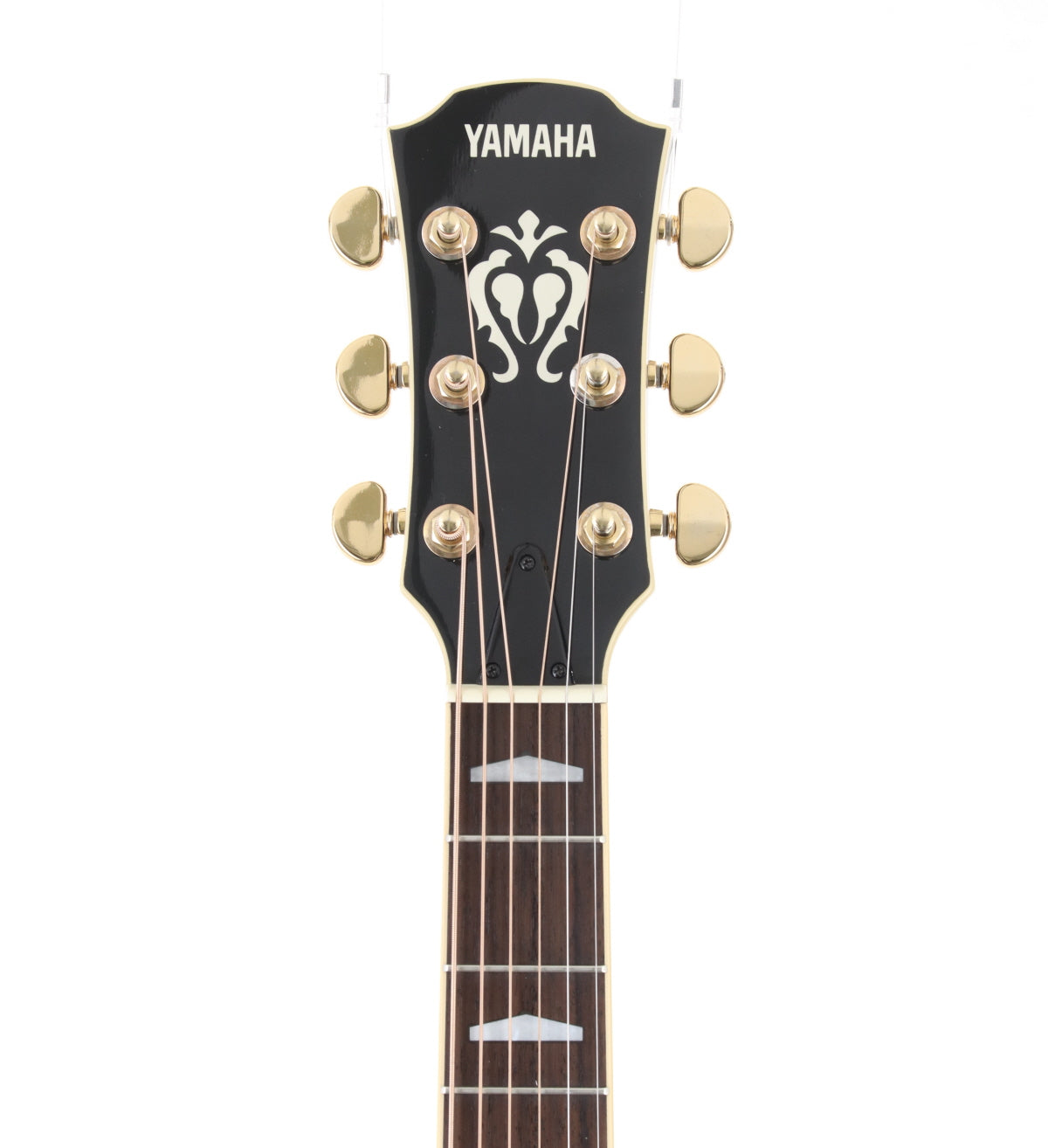 [SN QMI108001] USED YAMAHA / CJ12P BL Yamaha Country Jumbo Acoustic Guitar [08]
