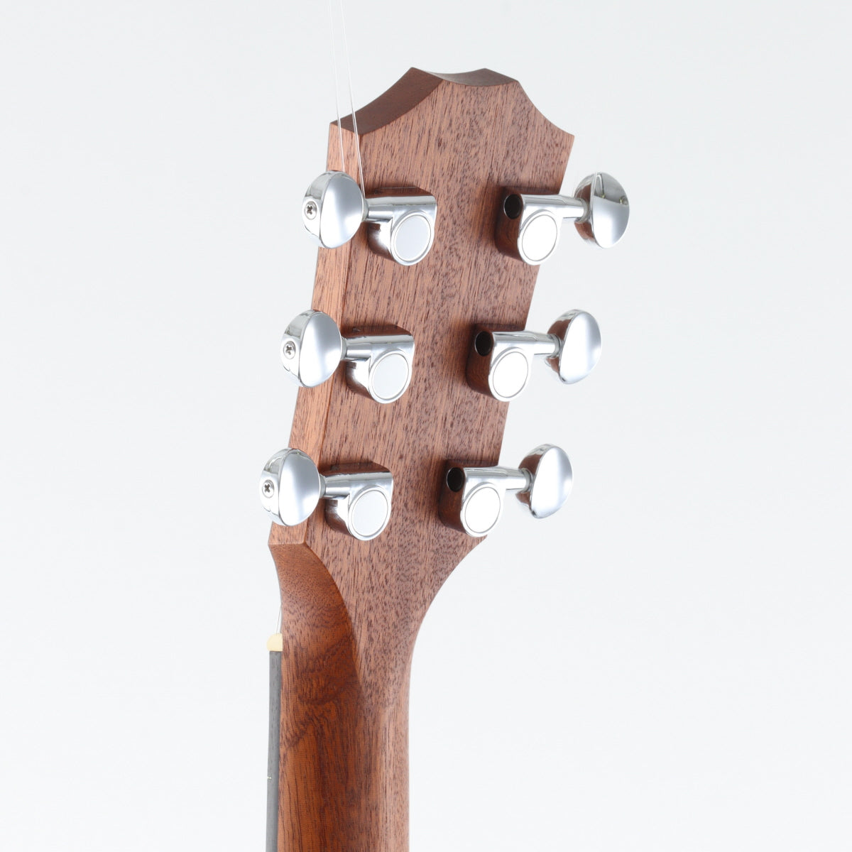 [SN 2105295144] USED Taylor / GS mini Natural [11]