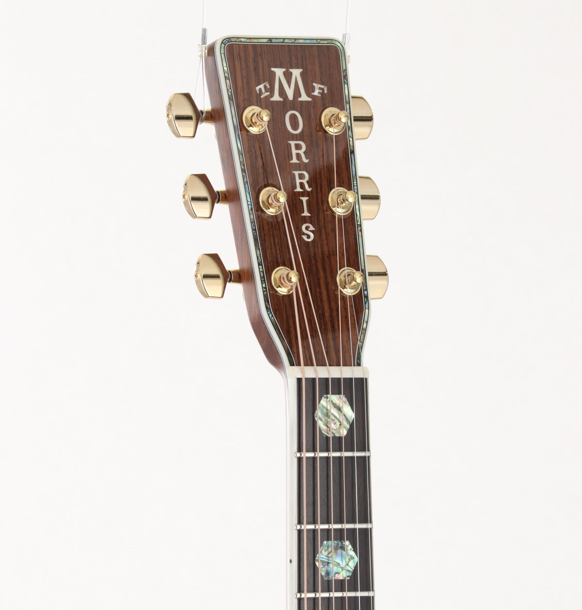 [SN 2104002] USED Morris / TF-79K SB [05]