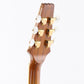 [SN 204016] USED Aria Pro II / FA-02 Honey Sunburst [11]