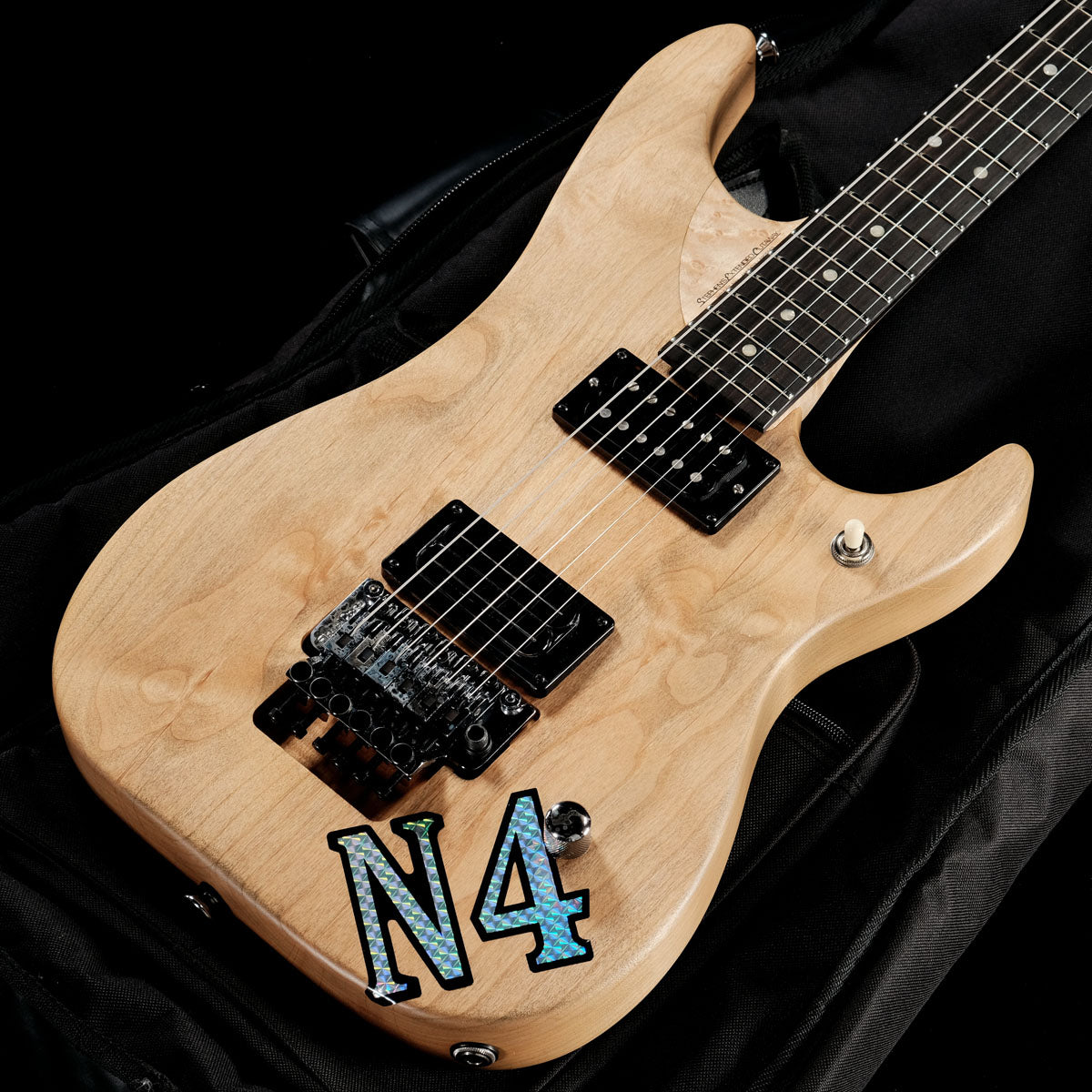 Jackson ジャクソン Pro Series Signature Adam Blackstone The