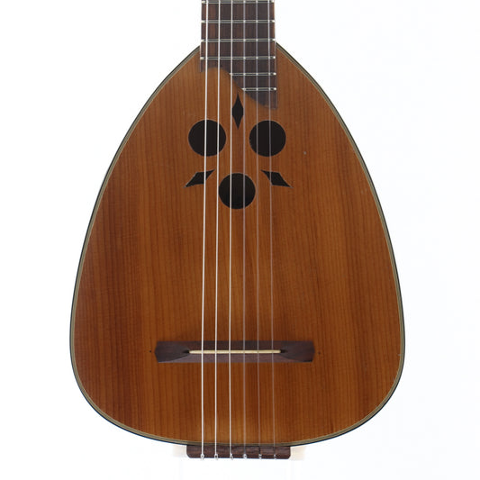 USED Takamine / LUTE GUITAR [12]