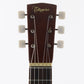 USED Takamine / LUTE GUITAR [12]