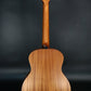 [SN 210043096] USED Taylor / GS Mini Sapele [10]