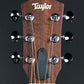 [SN 210043096] USED Taylor / GS Mini Sapele [10]
