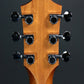 [SN 210043096] USED Taylor / GS Mini Sapele [10]
