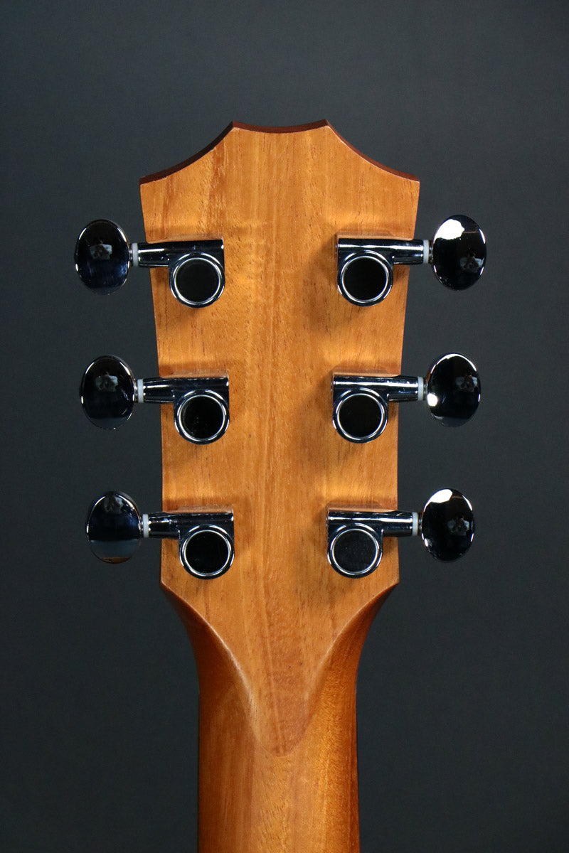 [SN 210043096] USED Taylor / GS Mini Sapele [10]