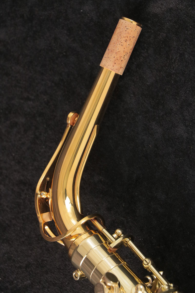[SN A07075] USED SELMER / Alto AXOS Axos Alto Saxophone GP-TONE [03]