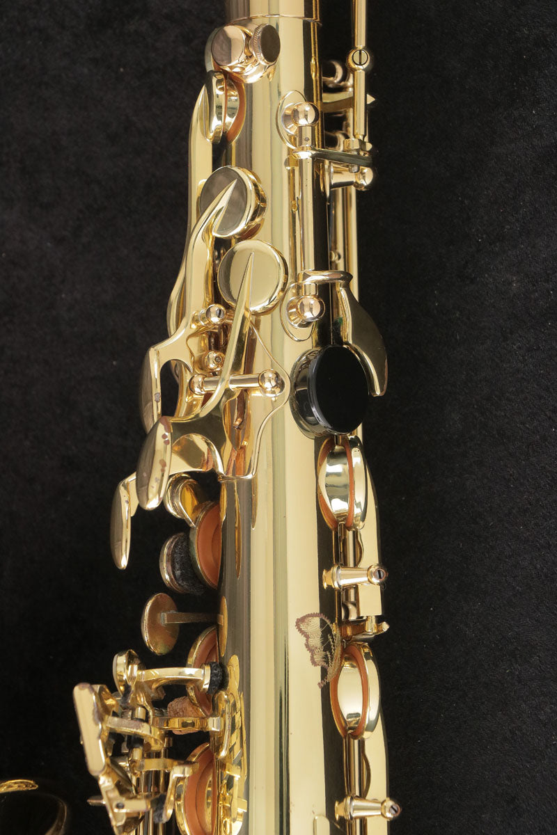 [SN A07075] USED SELMER / Alto AXOS Axos Alto Saxophone GP-TONE [03]