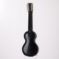 USED Rickenbacker / BD7 7-String Lap Steel Guitar [09]