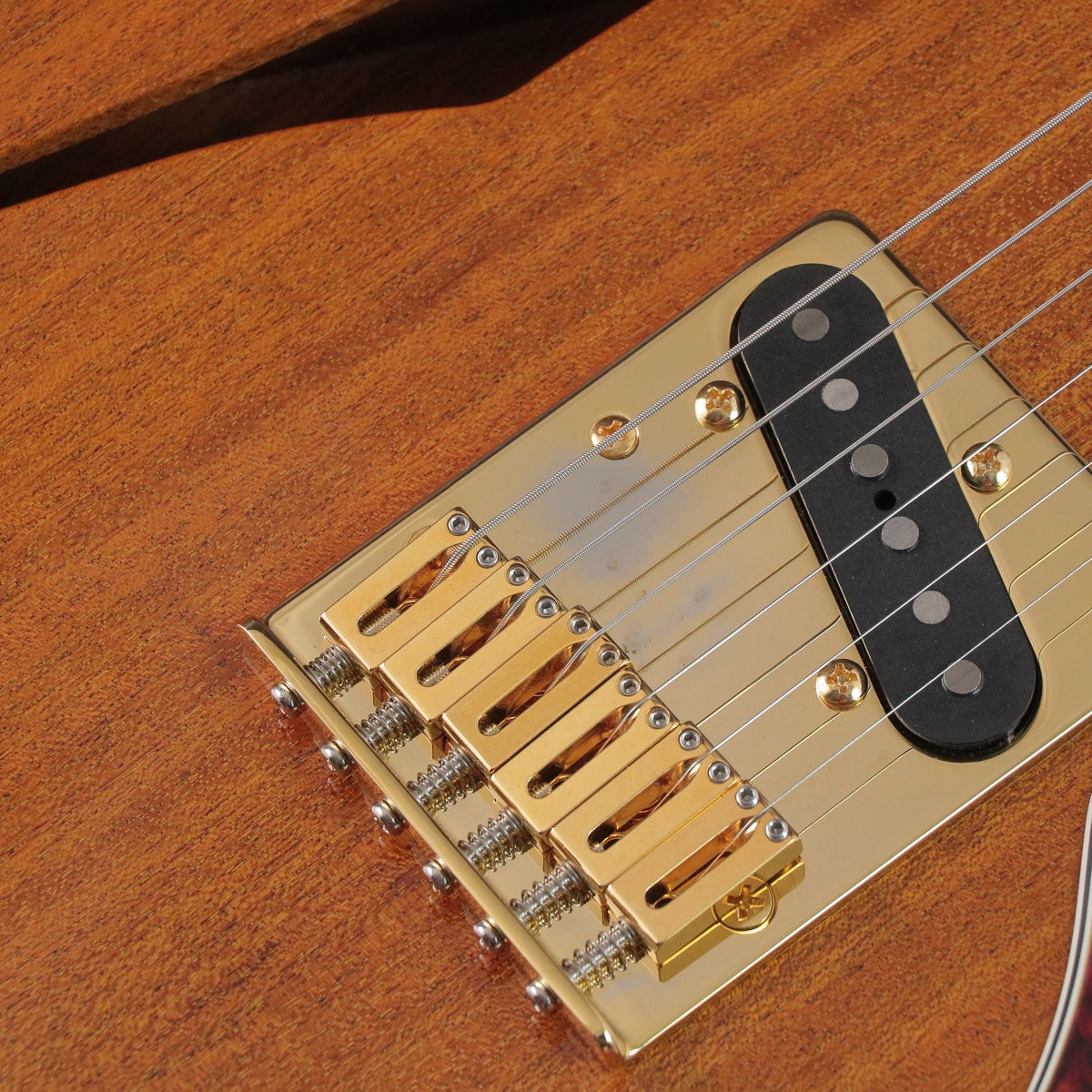 [SN 23011151] USED Freedom Custom Guitar Research / C.S. Brown Pepper [03]