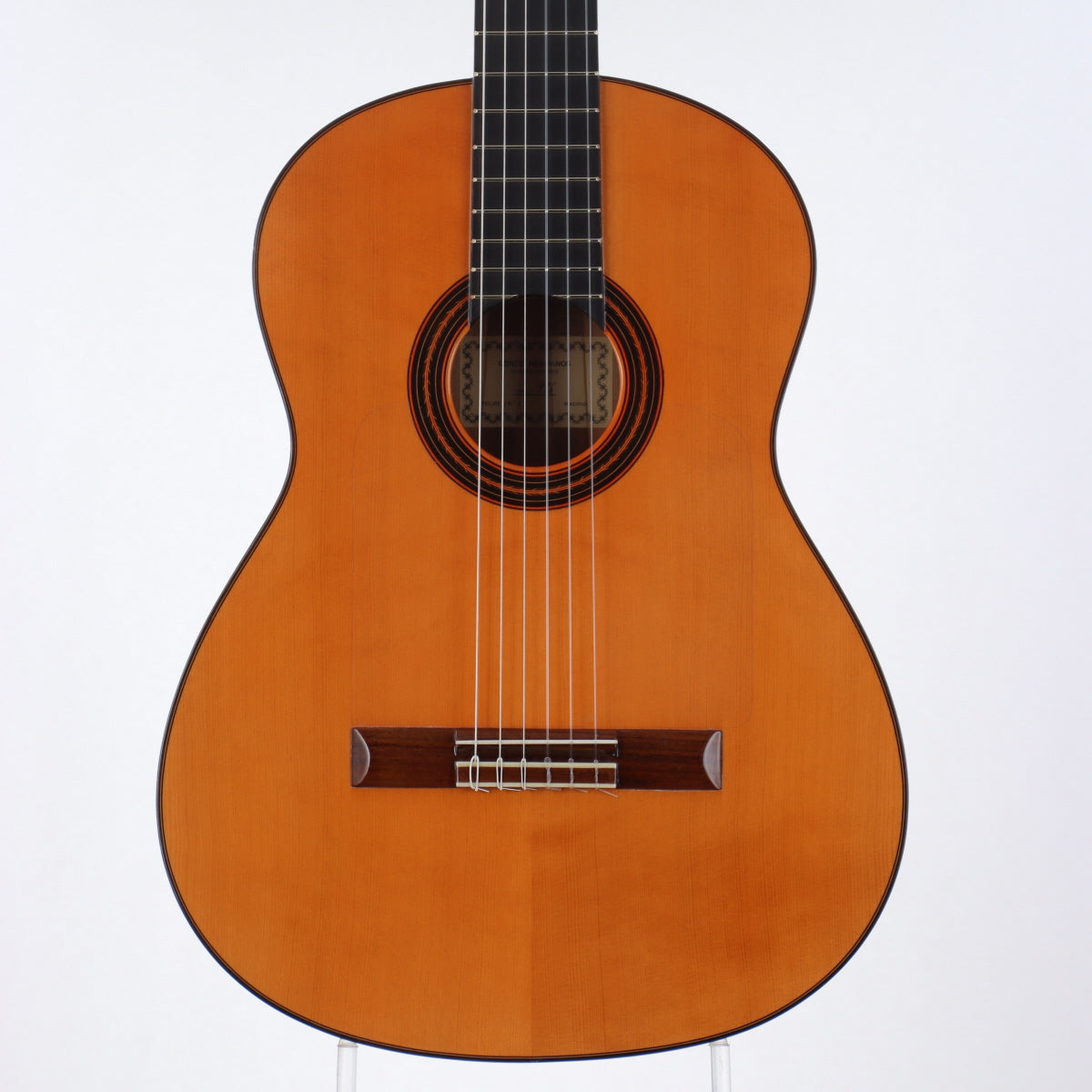 Classical guitar [acoustic guitar, electric acoustic guitar