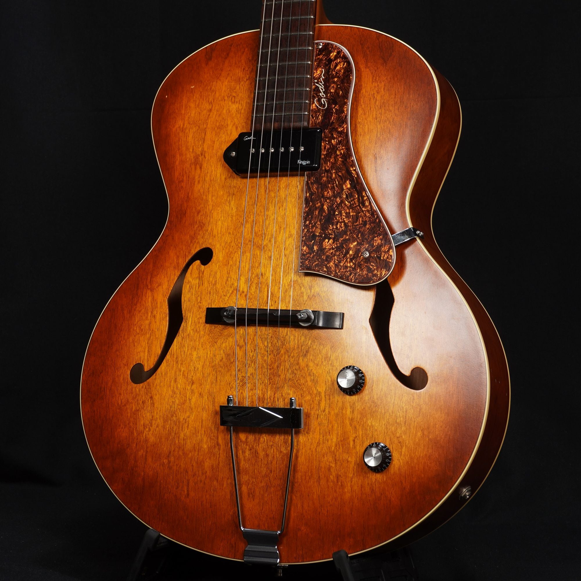 Godin エレキギター 51rrPpFrY0L._UF350,350_QL50_.jpg