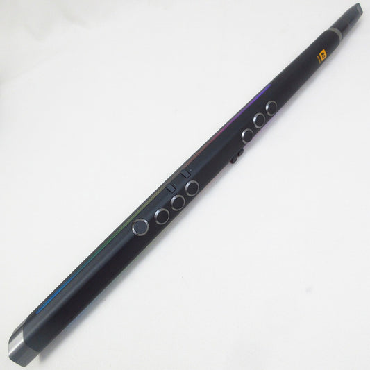 [SN 5FFDB3DC] USED ROBKOO / Wind Synthesizer R1 [09]