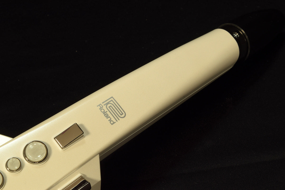 [SN A4I0242] USED Roland Roland / AE-10 Aerophone [20]