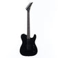 [SN TEJ-55] USED FERNANDES / TEJ-55 Black [12]