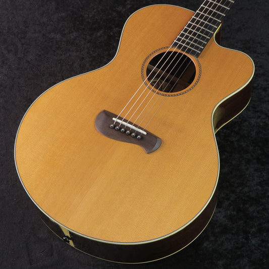 [SN G2100150] USED TACOMA / ER22C [03]