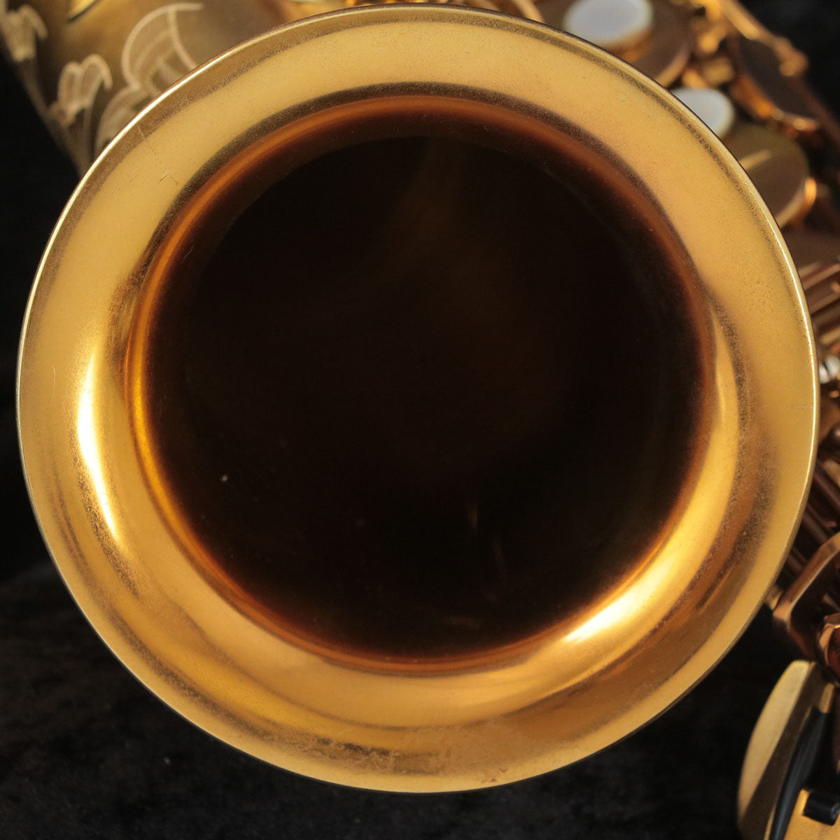[SN 698627] USED SELMER / Alto Reference54 GL Reference SN.698xxx Alto Saxophone [03]