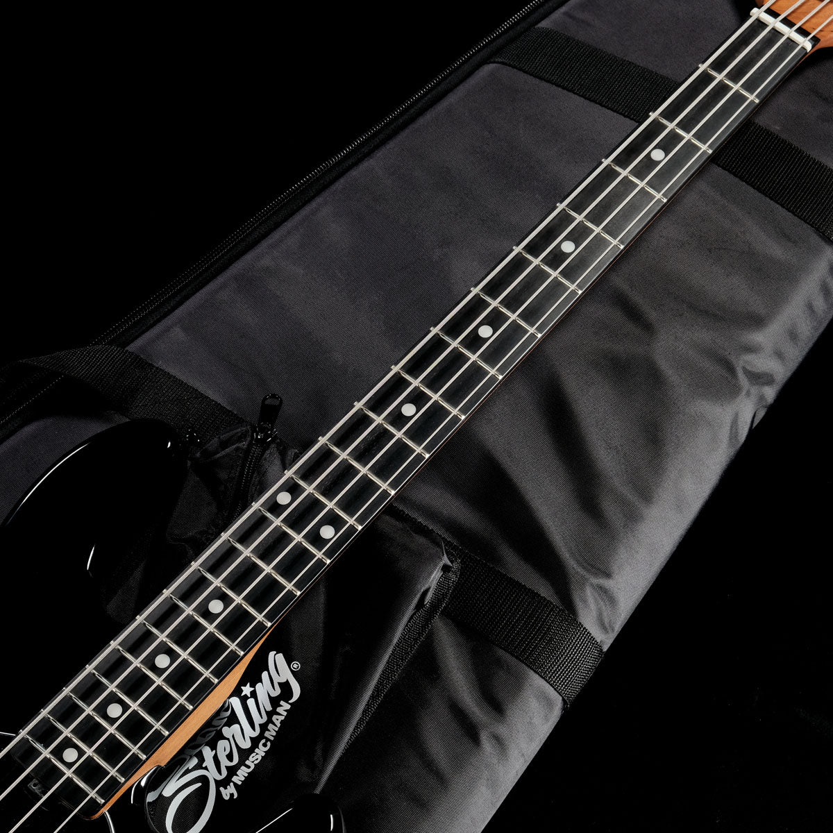 [SN SR 67942] USED Sterling / by MUSIC MAN DarkRay Black [05]