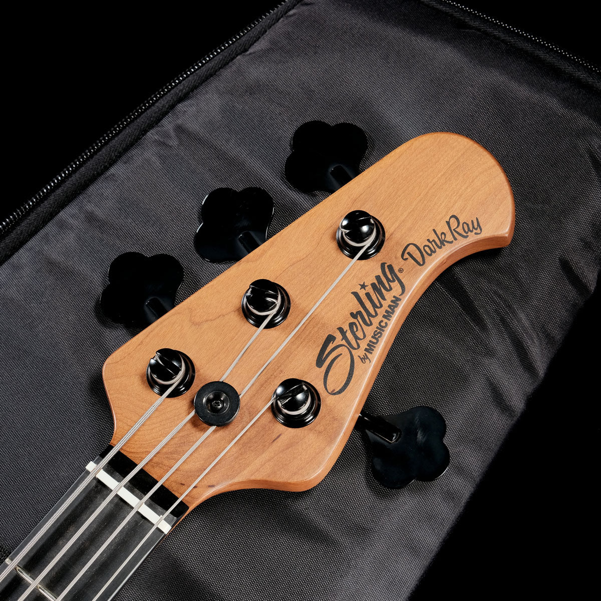 [SN SR 67942] USED Sterling / by MUSIC MAN DarkRay Black [05]
