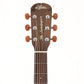 USED Aria / Sandpiper [10]