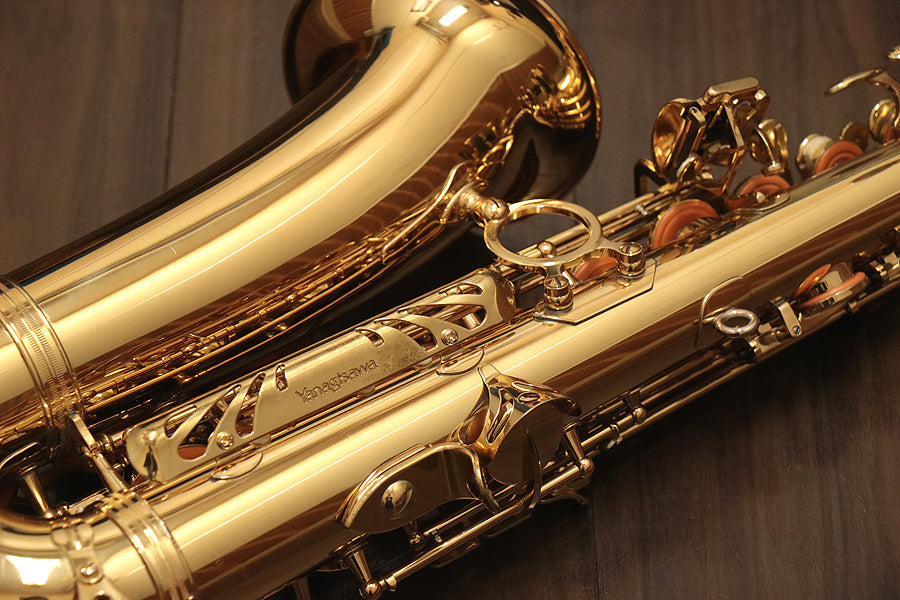 [SN 00234255] USED yanagisawa A-901 alto saxophone [10]