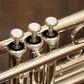 [SN 289020] USED YAMAHA / Yamaha YTR-4335GSII B flat trumpet [10]
