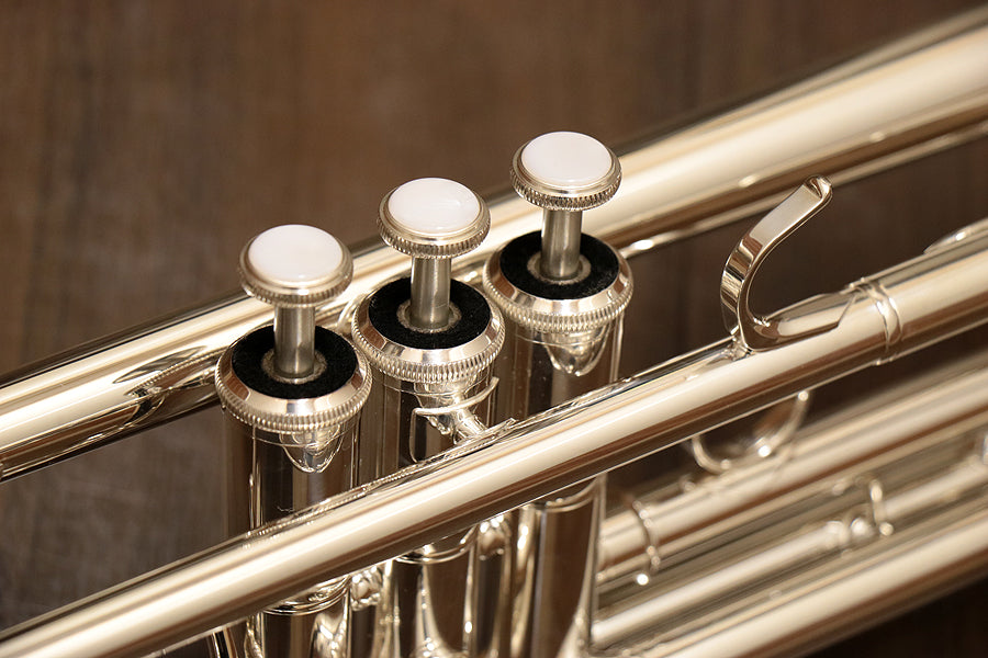 [SN 289020] USED YAMAHA / Yamaha YTR-4335GSII B flat trumpet [10]