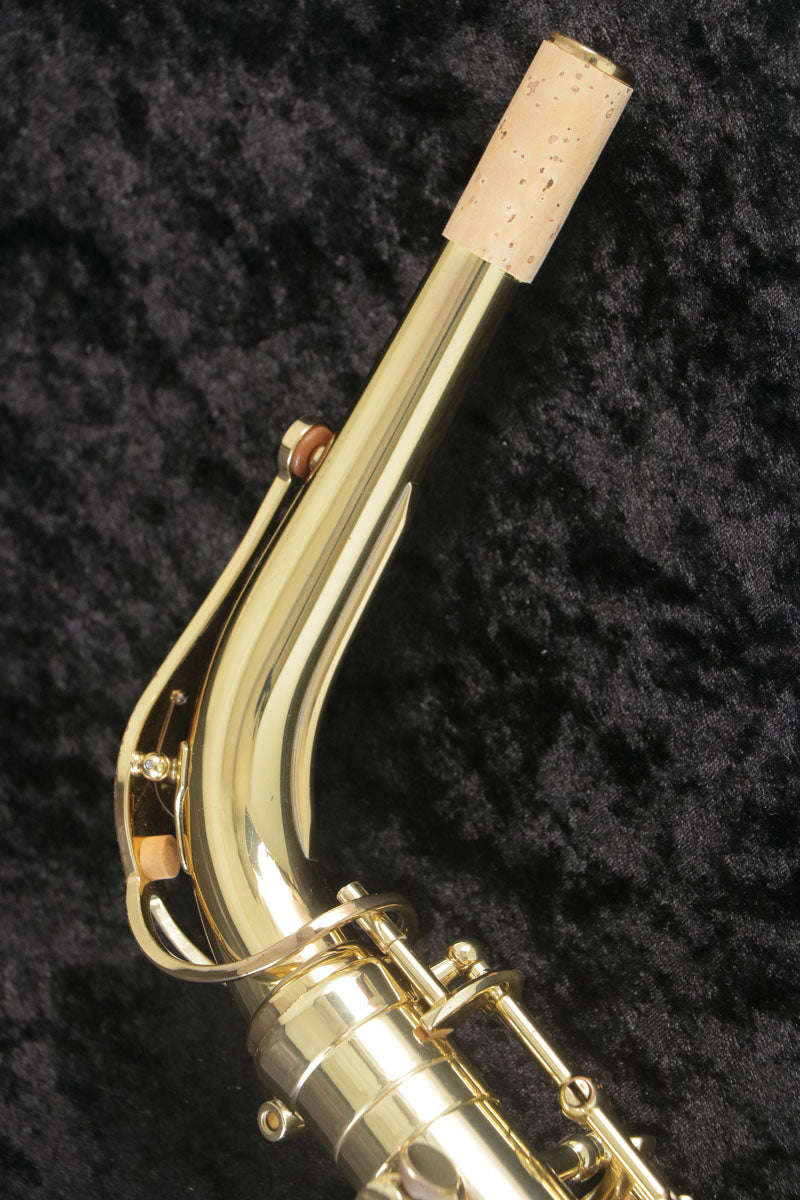 [SN A04797] USED SELMER / Alto AXOS Axos Alto Saxophone SN.A04xxx [03]