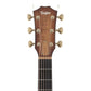 [SN 1104154131] USED TAYLOR / TGS2014 GAce-Koa [03]